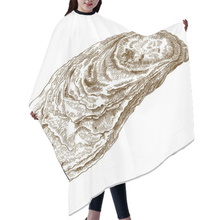 Personality  Engraving  Illustration Of Oyster Shell Hair Cutting Cape