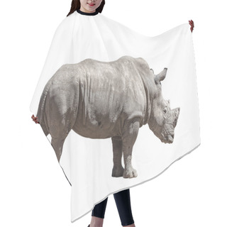 Personality  Rhino Isolated On White Hair Cutting Cape