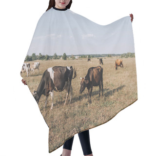 Personality  Scenic View Of Cows Grazing In Meadow  Hair Cutting Cape
