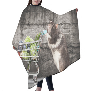 Personality  Cute Rat With A Shopping Cart Hair Cutting Cape
