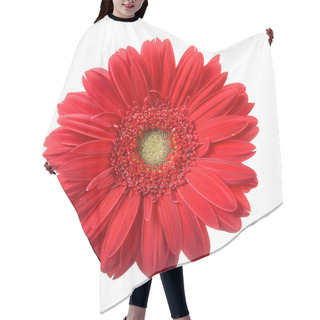 Personality  Red Gerbera Hair Cutting Cape