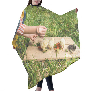 Personality  Cropped Image Of Little Girl Feeding Baby Chicks By Rowan On Wooden Board Outdoors  Hair Cutting Cape