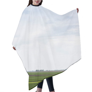 Personality  Cloudy Sky Near Green Grass On Field  Hair Cutting Cape