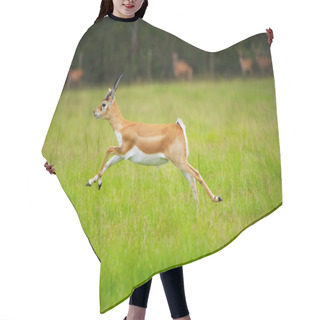 Personality  Antelope Jumping Hair Cutting Cape