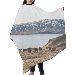 Personality  Grazing Hair Cutting Cape