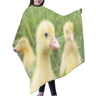 Personality  Baby Gosling Hair Cutting Cape