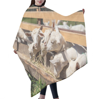 Personality  Livestock Hair Cutting Cape