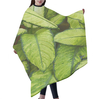 Personality  Green Leafs Texture Background Hair Cutting Cape