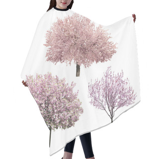 Personality  Blossoming Pink Sacura Trees Hair Cutting Cape