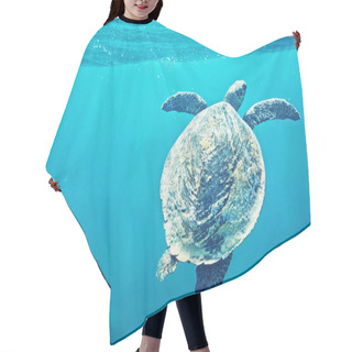 Personality  Green Sea Turtle Hair Cutting Cape