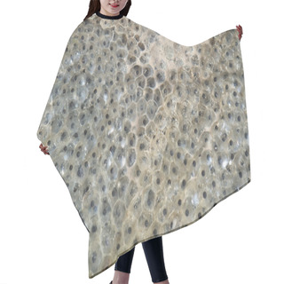 Personality  Frog Spawn Closeup Hair Cutting Cape