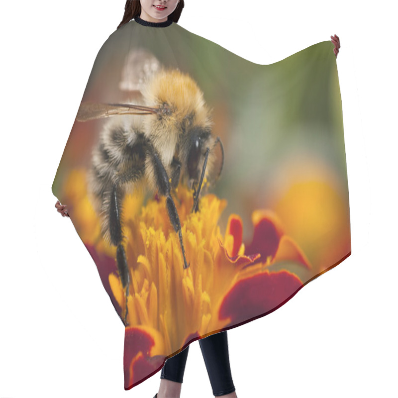Personality  Bee At Work Hair Cutting Cape