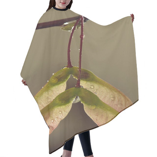 Personality  Maple Seed Pods And Water Droplets Hair Cutting Cape