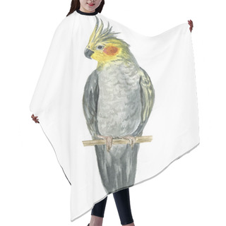 Personality   Watercolor Illustration Of Beautiful Corella Parrot On Branch Isolated On White Background Hair Cutting Cape