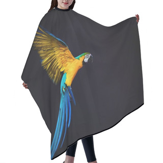 Personality  Colourful Flying Ara On A Dark Background Hair Cutting Cape