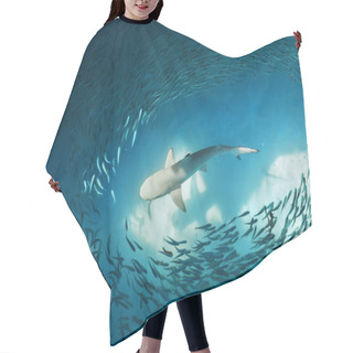 Personality  Shark And Small Fishes In Ocean Hair Cutting Cape
