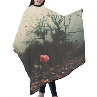 Personality  Red Rose Growing Through Soil Against Spooky Tree Hair Cutting Cape