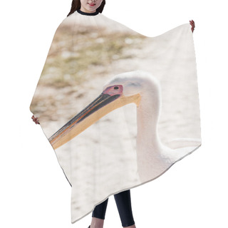 Personality  Pelican With Big Beak Standing On Ground  Hair Cutting Cape