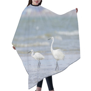 Personality  A Little Egret Standing On The Beach, Sunny Day In Northern France Hair Cutting Cape