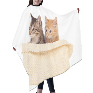 Personality  Two Cute Kittens Hair Cutting Cape