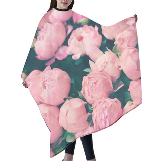 Personality  Vintage Paris Roses Hair Cutting Cape