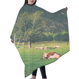 Personality  Cow And Sheep Hair Cutting Cape