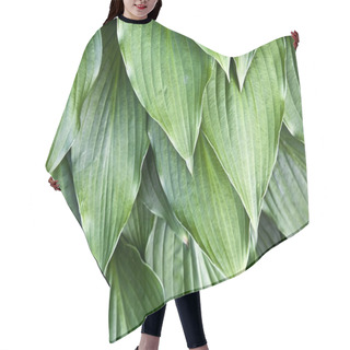 Personality  Hosta Leaves Hair Cutting Cape