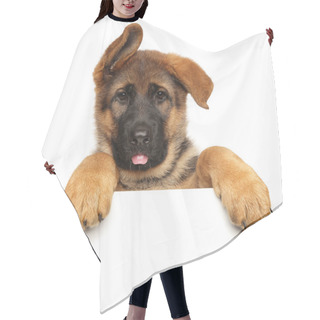 Personality  Funny German Shepherd Puppy Over A White Banner Hair Cutting Cape