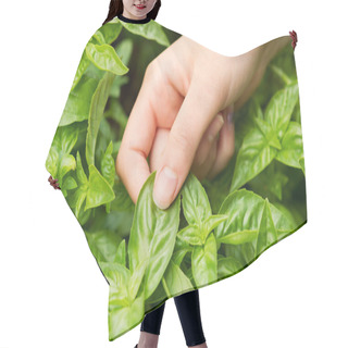 Personality  Fresh Basil Ready To Harvest Hair Cutting Cape