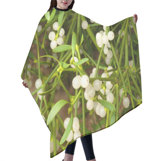 Personality  Fresh Mistletoe Hair Cutting Cape