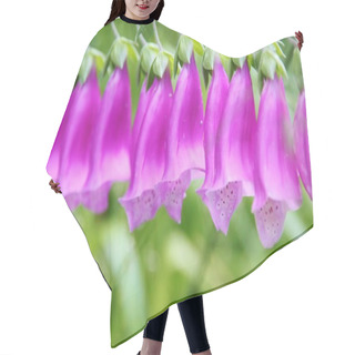 Personality  Close-up Row Of Wild Pink Blooming Flowers  Hair Cutting Cape