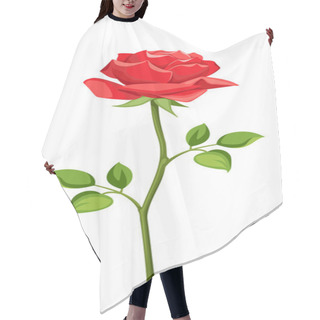 Personality  Red Rose With Stem Isolated On White. Vector Illustration. Hair Cutting Cape