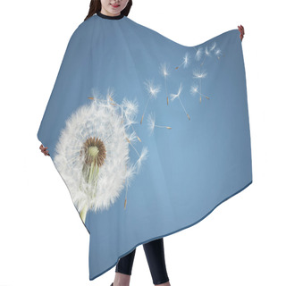 Personality  Dandelion With Seeds Blowing Away In The Wind Across A Clear Blue Sky With Copy Space Hair Cutting Cape