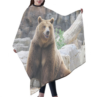 Personality  Looking At Us Smiling Brown Bear Hair Cutting Cape