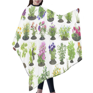 Personality  Garden Plants Grow In Soil Set Hair Cutting Cape
