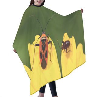 Personality  Firebug On A Yellow Flower In The Nature Hair Cutting Cape