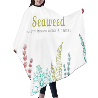 Personality  Vector Horizontal Seamless Seaweed Banner. Vintage Background With Engraved Seaweeds, Corals And Reef. Underwater Natural Hand Drawn Elements. Vintage Seaweed Collection. Wedding Or Ad Template Design Hair Cutting Cape