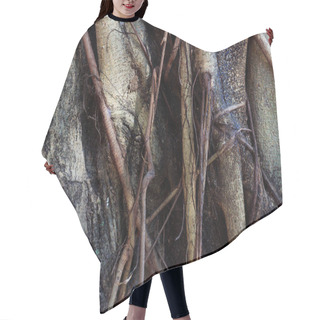 Personality  Tree Trunk Grunge Texture Background Hair Cutting Cape