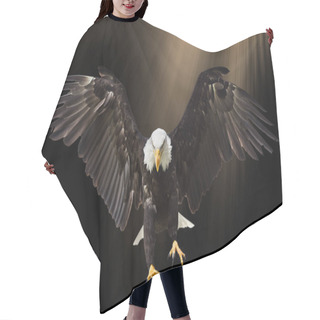 Personality  Bald Eagle Flying On Black Background. Hair Cutting Cape