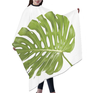 Personality  Monstera Deliciosa Leaf Or Swiss Cheese Plant, Tropical Foliage Isolated On White Background, With Clipping Path Hair Cutting Cape