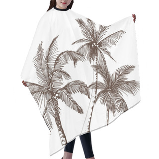 Personality  Sketchy Tropical Palm Trees. Hair Cutting Cape