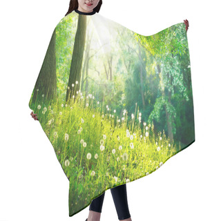 Personality  Spring Nature. Beautiful Landscape. Green Grass And Trees Hair Cutting Cape