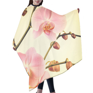 Personality  Orchid Old Photo Hair Cutting Cape