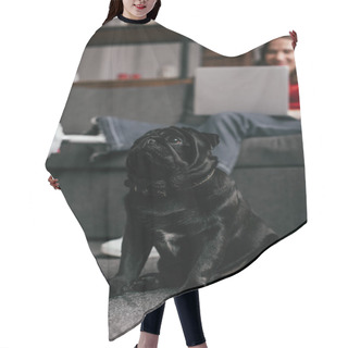 Personality  Selective Focus Of Pug Sitting On Floor Beside Woman With Prosthetic Leg And Laptop In Living Room Hair Cutting Cape