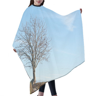 Personality  Bare Tree Hair Cutting Cape