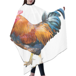 Personality  Magnificent Rooster Hair Cutting Cape