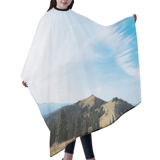 Personality  Meadow In Mountains With Green Fir Trees Against Sky Hair Cutting Cape