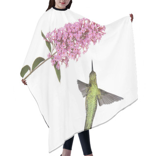 Personality  Hummingbird Floats Under A Butterfly Bush Hair Cutting Cape