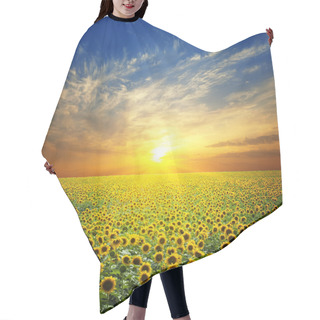 Personality  Summer Landscape: Beauty Sunset Over Sunflowers Field Hair Cutting Cape