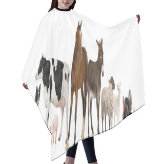 Personality  Variety Of Farm Animals In Front Of White Background Hair Cutting Cape